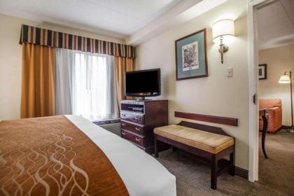 Comfort Inn & Suites Somerset - New Brunswick - image 4