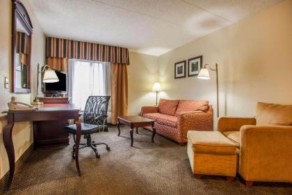 Comfort Inn & Suites Somerset - New Brunswick - image 5