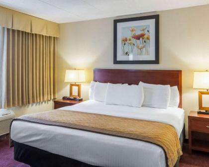 Clarion Hotel Somerset - New Brunswick - image 12