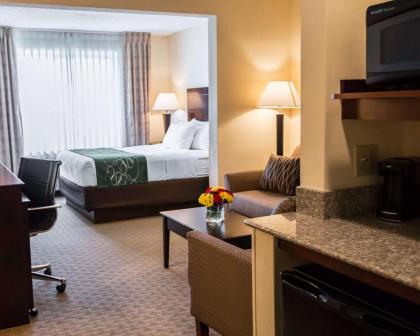 Comfort Suites University Area Notre Dame South Bend South Bend Indiana