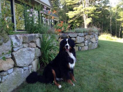 Bed and Breakfast in South Berwick Maine