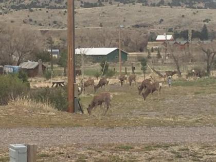 South Fork Lodge & RV Park Colorado - image 4