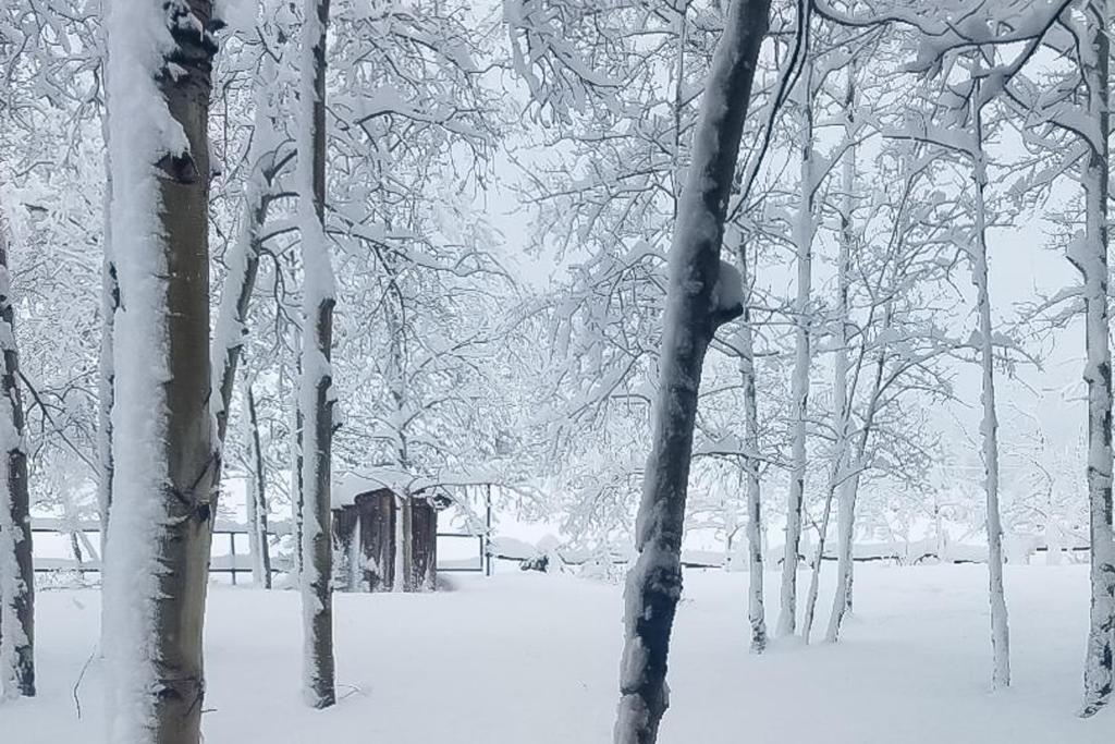 Happy Place Cabin - image 3