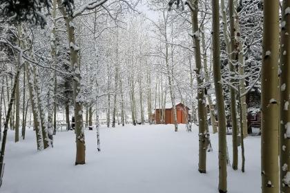 Happy Place Cabin - image 4