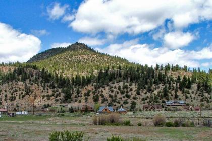 Mountain View Cabin - image 4