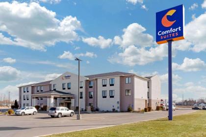 Comfort Suites South Haven South Haven Michigan