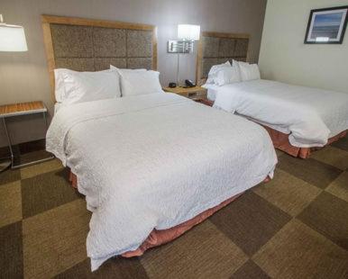 Hampton Inn South Haven - image 2