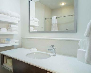 Hampton Inn South Haven - image 3