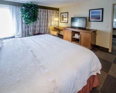 Hampton Inn South Haven - image 7