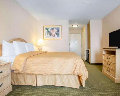 Clarion Inn South Holland - image 12