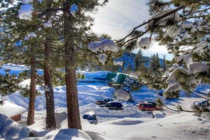 Tahoe Olympic by Lake Tahoe Accommodations - image 12