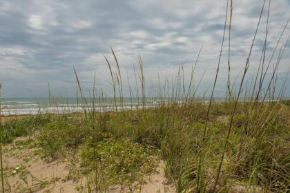 South Padre Island Beach Rentals - image 1