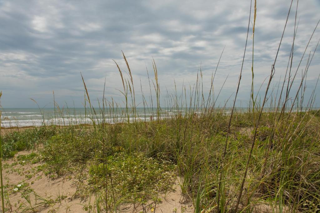 South Padre Island Beach Rentals - main image