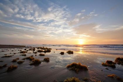 Campeche Cove #1 - image 5