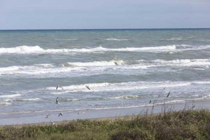 La International 206 by Padre Island Rentals - image 16