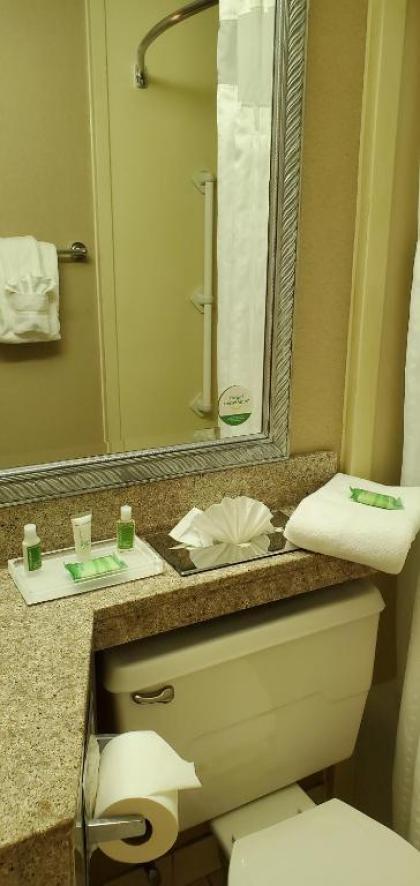 Holiday Inn South Plainfield-Piscataway an IHG Hotel - image 19