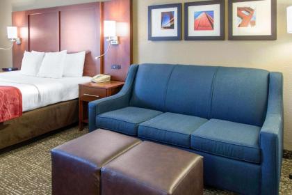 Comfort Inn & Suites San Francisco Airport North - image 3