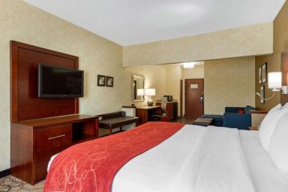 Comfort Suites Southfield - image 3