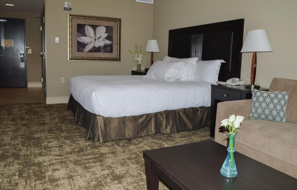 Hilton Dallas Southlake Town Square - image 3