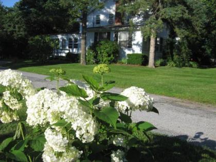 Historic White Blossom House - image 6