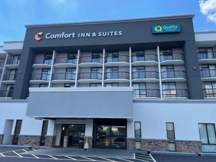 Comfort Inn & Suites - image 3