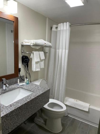 Quality Inn & Suites - image 8