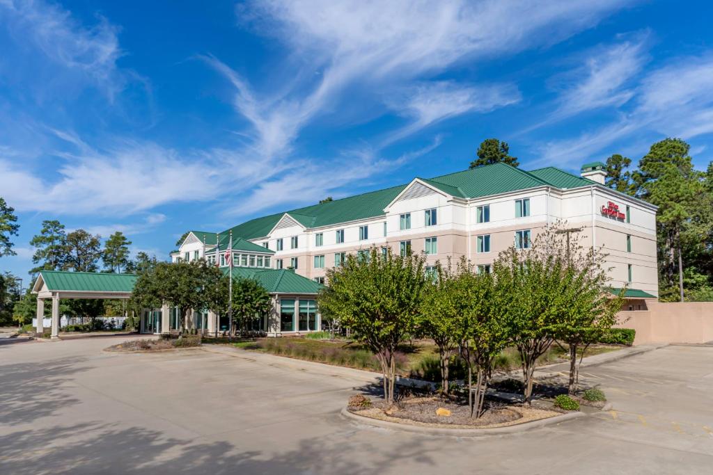 Hilton Garden Inn Houston/The Woodlands - main image