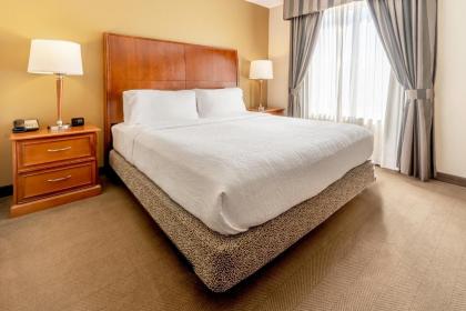 Hilton Garden Inn Houston/The Woodlands - image 18