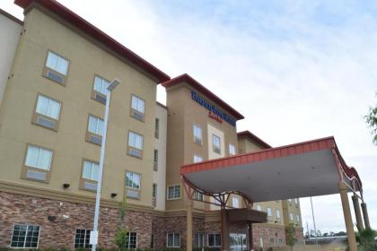 Fairfield Inn and Suites by Marriott North Spring - image 2