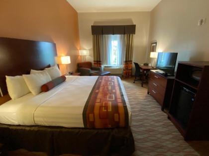 Best Western Plus Spring Inn & Suites - image 3