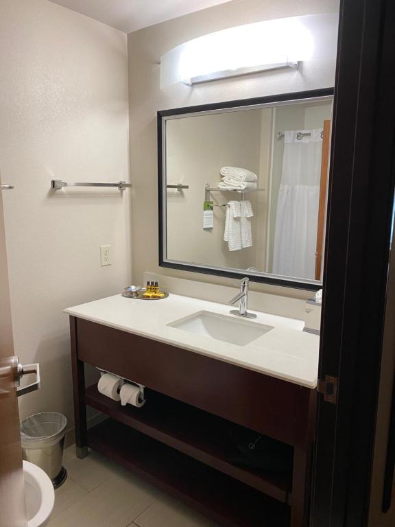 Best Western Plus Spring Inn & Suites - image 6