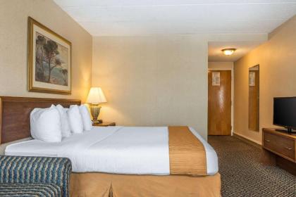 Quality Inn & Conference Center - Springfield - image 7