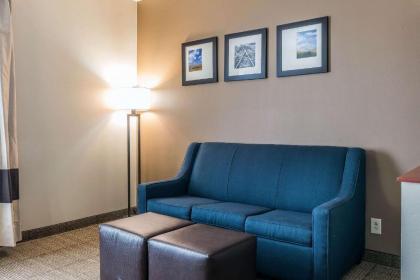 Comfort Suites Springfield - image 9