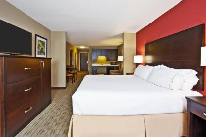 Holiday Inn Express & Suites Springfield an IHG Hotel - image 15