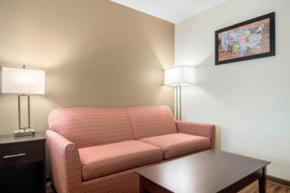 Econo Lodge Inn & Suites - image 10