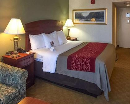 Comfort Inn Springfield - image 10