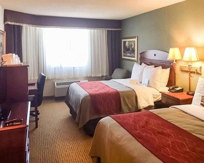 Comfort Inn Springfield - image 12