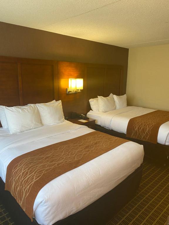 Comfort Inn Springfield - image 7