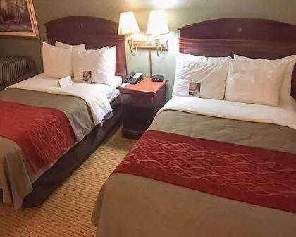 Comfort Inn Springfield - image 9