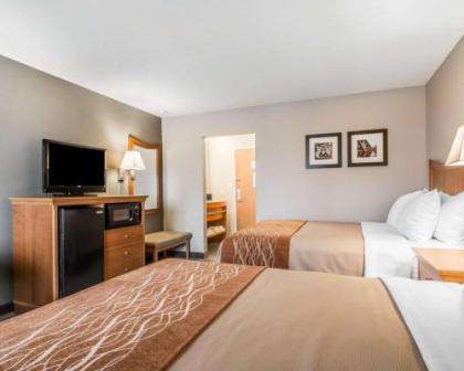 Comfort Inn South - Springfield - image 2