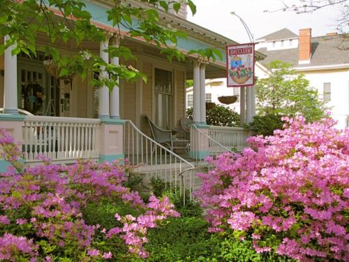 Walnut Street Inn - main image