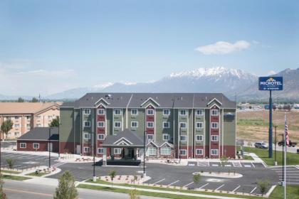 Microtel Inn & Suites by Wyndham Springville - image 6