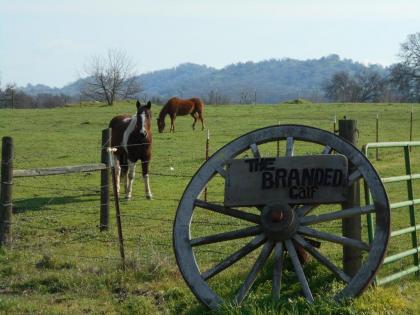 the Branded Calf Bed  Breakfast California