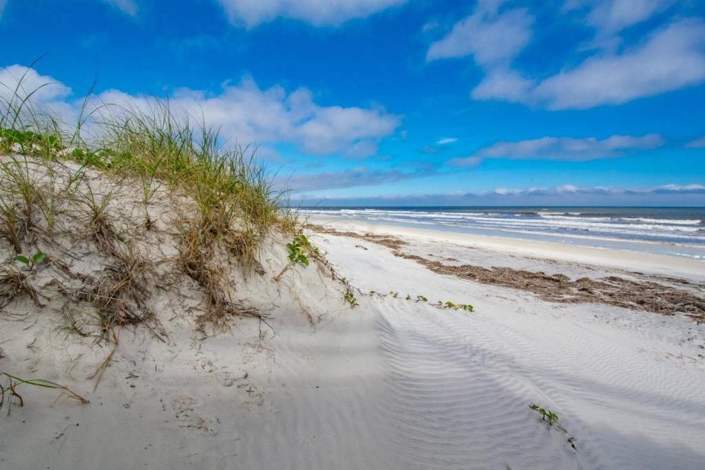 Windswept Beach House - image 7