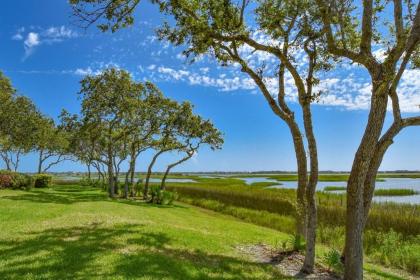 Canopy Shore - image 9