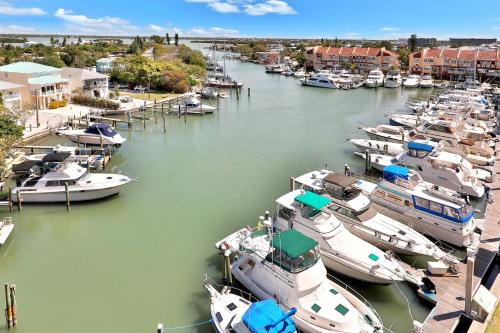 Bay Front Oasis - image 3