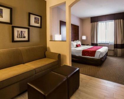 Comfort Suites Stafford Near Sugarland - image 10