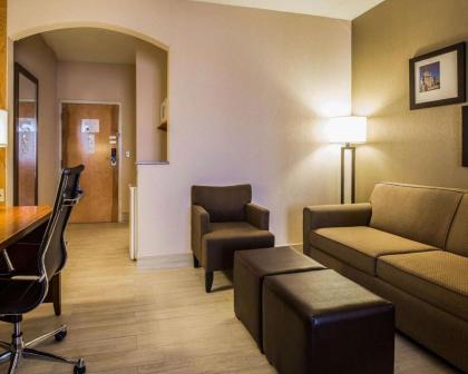 Comfort Suites Stafford Near Sugarland - image 12