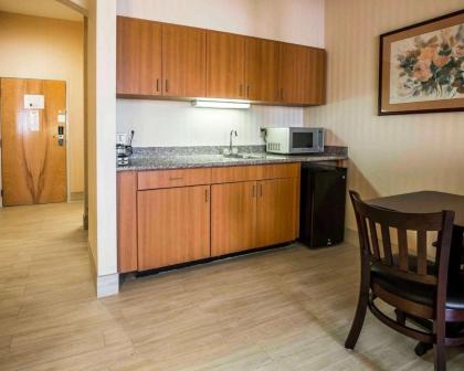 Comfort Suites Stafford Near Sugarland - image 15