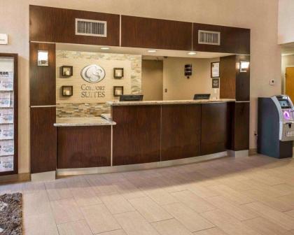 Comfort Suites Stafford Near Sugarland - image 2